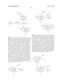 NOVEL ANTIVIRAL AGENTS AGAINST HBV INFECTION diagram and image