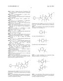 INHIBITORS OF THE RENAL OUTER MEDULLARY POTASSIUM CHANNEL diagram and image