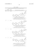 INHIBITORS OF THE RENAL OUTER MEDULLARY POTASSIUM CHANNEL diagram and image