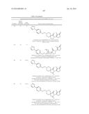 INHIBITORS OF THE RENAL OUTER MEDULLARY POTASSIUM CHANNEL diagram and image