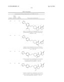 INHIBITORS OF THE RENAL OUTER MEDULLARY POTASSIUM CHANNEL diagram and image