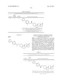 INHIBITORS OF THE RENAL OUTER MEDULLARY POTASSIUM CHANNEL diagram and image