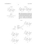 INHIBITORS OF THE RENAL OUTER MEDULLARY POTASSIUM CHANNEL diagram and image