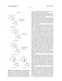 INHIBITORS OF THE RENAL OUTER MEDULLARY POTASSIUM CHANNEL diagram and image