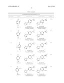 INHIBITORS OF THE RENAL OUTER MEDULLARY POTASSIUM CHANNEL diagram and image