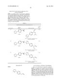 INHIBITORS OF THE RENAL OUTER MEDULLARY POTASSIUM CHANNEL diagram and image