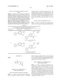 INHIBITORS OF THE RENAL OUTER MEDULLARY POTASSIUM CHANNEL diagram and image