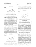 INHIBITORS OF THE RENAL OUTER MEDULLARY POTASSIUM CHANNEL diagram and image