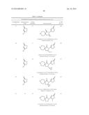 INHIBITORS OF THE RENAL OUTER MEDULLARY POTASSIUM CHANNEL diagram and image