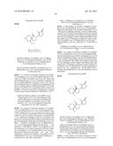 INHIBITORS OF THE RENAL OUTER MEDULLARY POTASSIUM CHANNEL diagram and image