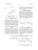 INHIBITORS OF THE RENAL OUTER MEDULLARY POTASSIUM CHANNEL diagram and image