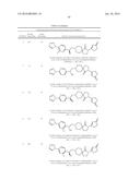 INHIBITORS OF THE RENAL OUTER MEDULLARY POTASSIUM CHANNEL diagram and image