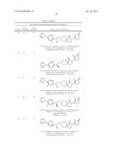 INHIBITORS OF THE RENAL OUTER MEDULLARY POTASSIUM CHANNEL diagram and image