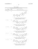 INHIBITORS OF THE RENAL OUTER MEDULLARY POTASSIUM CHANNEL diagram and image