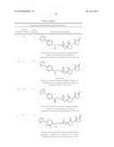 INHIBITORS OF THE RENAL OUTER MEDULLARY POTASSIUM CHANNEL diagram and image