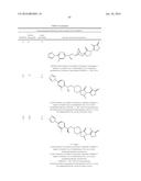 INHIBITORS OF THE RENAL OUTER MEDULLARY POTASSIUM CHANNEL diagram and image