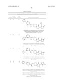 INHIBITORS OF THE RENAL OUTER MEDULLARY POTASSIUM CHANNEL diagram and image