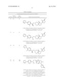 INHIBITORS OF THE RENAL OUTER MEDULLARY POTASSIUM CHANNEL diagram and image