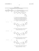 INHIBITORS OF THE RENAL OUTER MEDULLARY POTASSIUM CHANNEL diagram and image