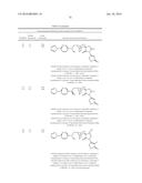 INHIBITORS OF THE RENAL OUTER MEDULLARY POTASSIUM CHANNEL diagram and image