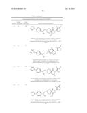 INHIBITORS OF THE RENAL OUTER MEDULLARY POTASSIUM CHANNEL diagram and image