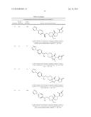 INHIBITORS OF THE RENAL OUTER MEDULLARY POTASSIUM CHANNEL diagram and image