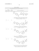 INHIBITORS OF THE RENAL OUTER MEDULLARY POTASSIUM CHANNEL diagram and image