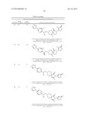 INHIBITORS OF THE RENAL OUTER MEDULLARY POTASSIUM CHANNEL diagram and image