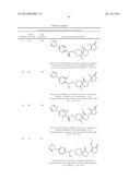 INHIBITORS OF THE RENAL OUTER MEDULLARY POTASSIUM CHANNEL diagram and image