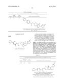 INHIBITORS OF THE RENAL OUTER MEDULLARY POTASSIUM CHANNEL diagram and image