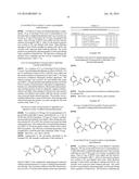 N-(4-(AZAINDAZOL-6-YL)-PHENYL)-SULFONAMIDES AND THEIR USE AS     PHARMACEUTICALS diagram and image