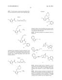 HYBRID NECROPTOSIS INHIBITORS diagram and image