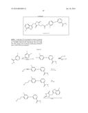 HYBRID NECROPTOSIS INHIBITORS diagram and image