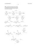 HYBRID NECROPTOSIS INHIBITORS diagram and image