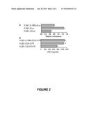 SELECTIVE INHIBITOR OF ANGIOTENSIN II diagram and image