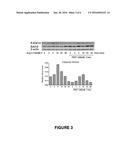 SELECTIVE INHIBITOR OF ANGIOTENSIN II diagram and image