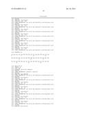 BIOCOMPATIBLE PROTEIN, BIOCOMPATIBLE PROTEIN GEL AND BIOCOMPATIBLE     CONDUCTING PROTEIN GEL COMPRISING THE PROTEIN AND METHOD FOR PREPARING     THE SAME diagram and image