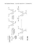 POTENT AND SELECTIVE INHIBITORS OF NAV1.7 diagram and image
