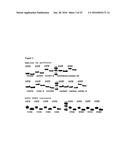 Compositions Comprising Receptor-Associated Protein (RAP) Variants     Specific for CR-Containing Proteins and Uses Thereof diagram and image