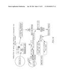 NON-HEMOLYTIC LLO FUSION PROTEINS AND METHODS OF UTILIZING SAME diagram and image