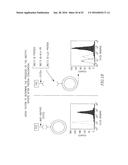 NON-HEMOLYTIC LLO FUSION PROTEINS AND METHODS OF UTILIZING SAME diagram and image