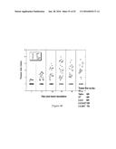 NON-HEMOLYTIC LLO FUSION PROTEINS AND METHODS OF UTILIZING SAME diagram and image