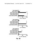 Novel Epitope for Switching to TH1 Cell and Use Thereof diagram and image