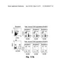 Novel Epitope for Switching to TH1 Cell and Use Thereof diagram and image