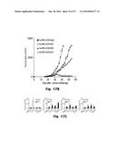 Novel Epitope for Switching to TH1 Cell and Use Thereof diagram and image