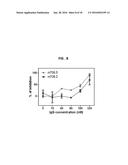 HUMAN MONOCLONAL ANTIBODIES THAT BIND INSULIN-LIKE GROWTH FACTOR (IGF) I     AND II diagram and image