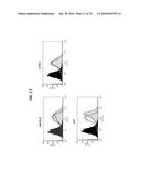 HUMAN MONOCLONAL ANTIBODIES THAT BIND INSULIN-LIKE GROWTH FACTOR (IGF) I     AND II diagram and image