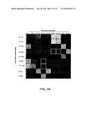 Methods of Modulating Immune Function diagram and image