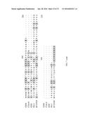 Methods of Modulating Immune Function diagram and image