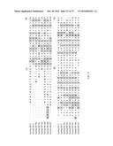 Methods of Modulating Immune Function diagram and image